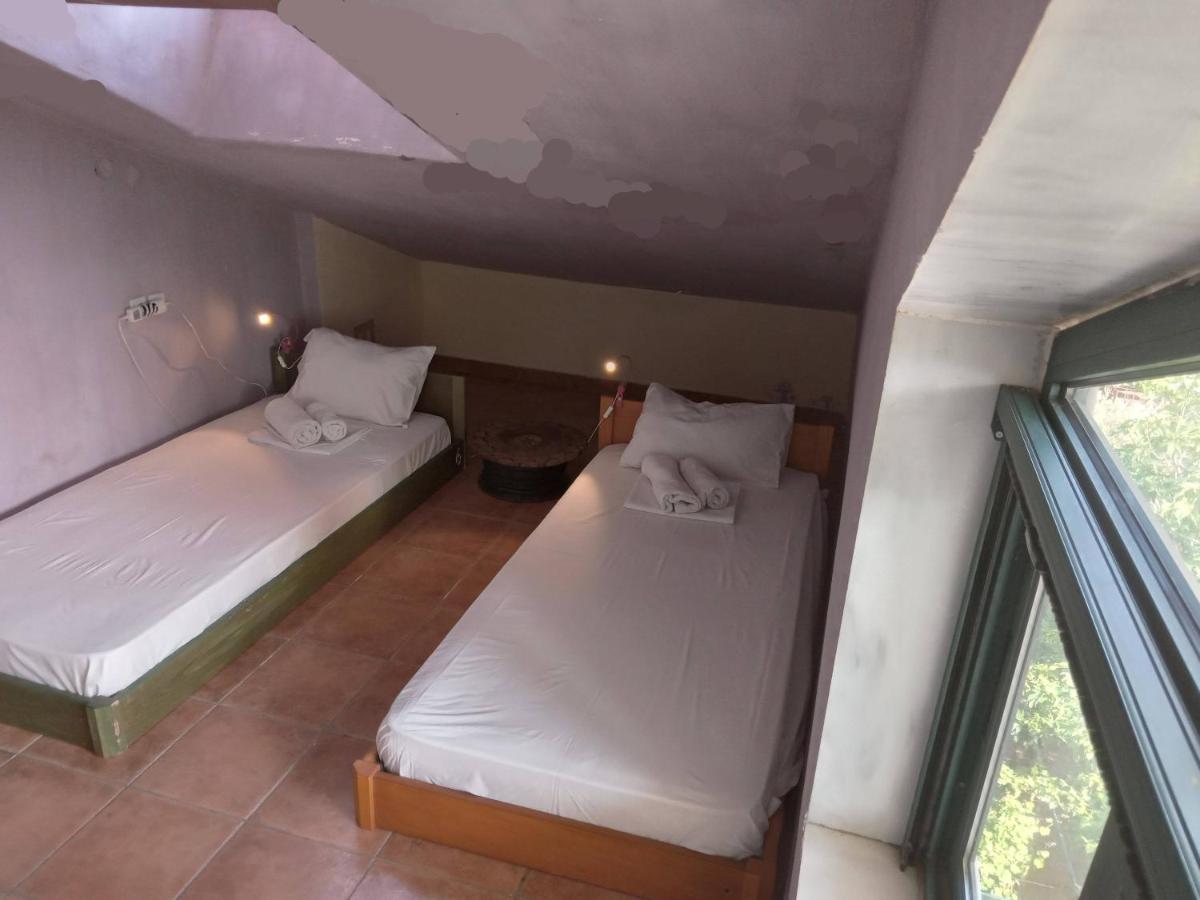 The White Rabbit Guesthouse Eco-Lodge "Cosy Apartment" Psakoudia Buitenkant foto